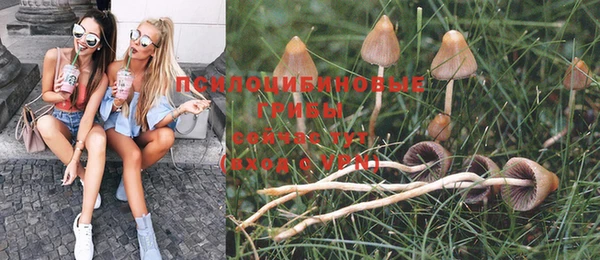 таблы Горнозаводск