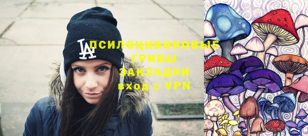 экстази Горняк