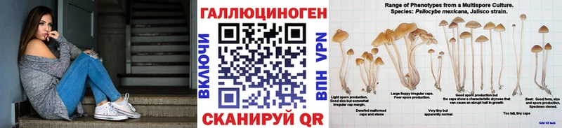 Псилоцибиновые грибы Magic Shrooms OMG ONION Джанкой